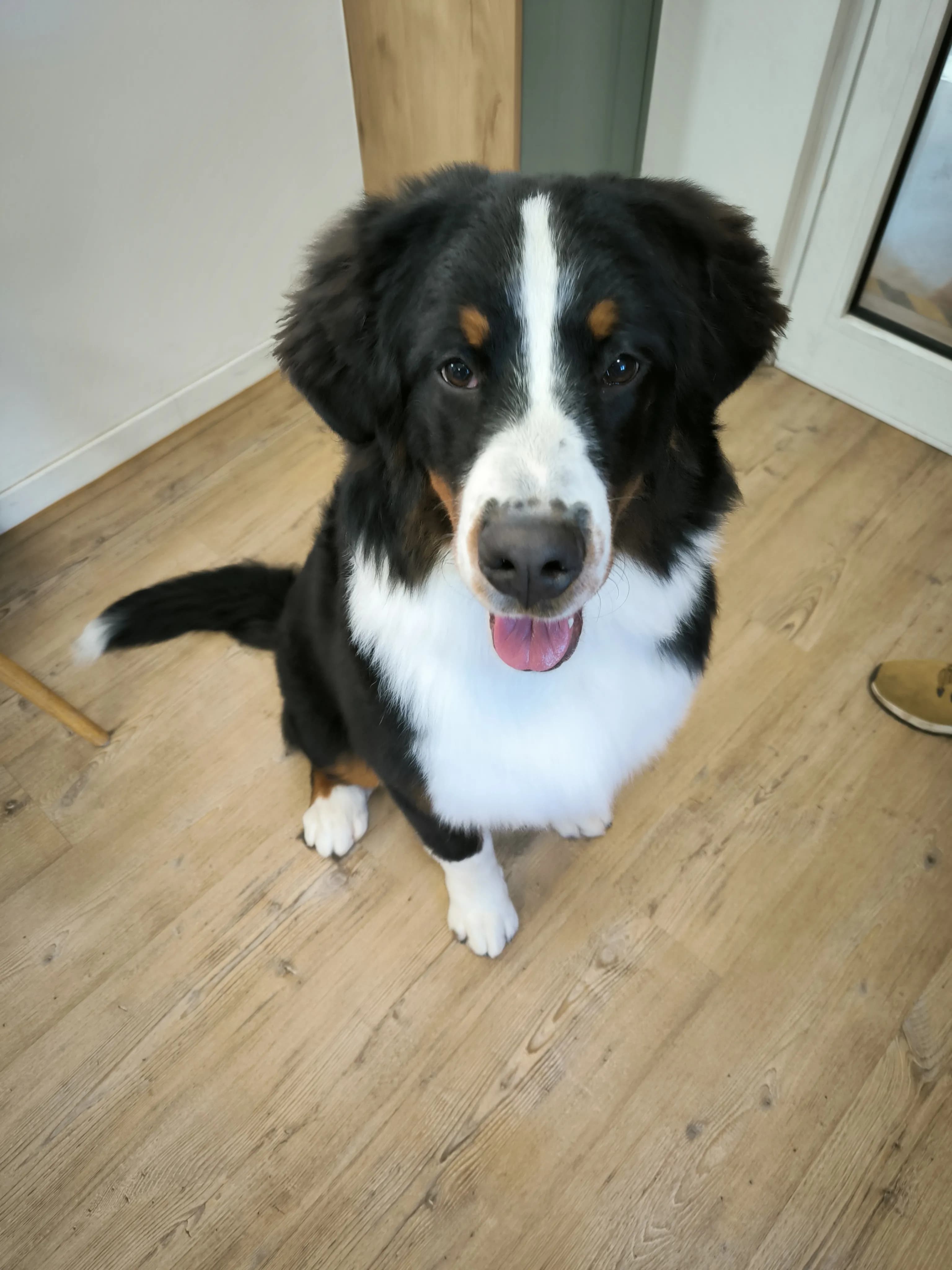 Forfait Grand Gabarit